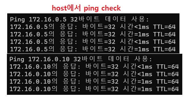 2022-11-11-05핑체크